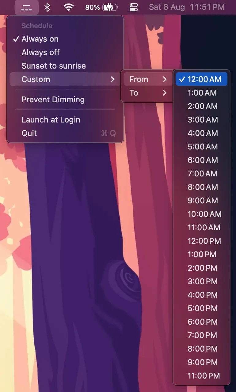 The Custom submenu, with the From hour list open